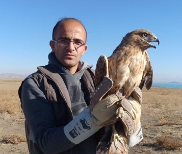 Kızıl Şahin Tekrar Özgür