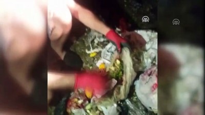 Muğla'da 10 Bin Lira Bulunan Poşet Çöp Kamyonundan Çıktı
