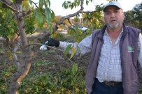 AKILLI TELEFON - (Özel) Gördüğü Manzara Karşısında Duygulandı