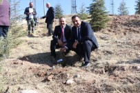 AKSARAY BELEDİYESİ - Aksaray'da 22 Ayrı Noktada 90 Bin Fidan Toprakla Buluşturulacak
