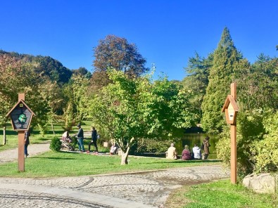 Atatürk Arboretumu'nda Sonbahar Manzaraları Havadan Görüntülendi