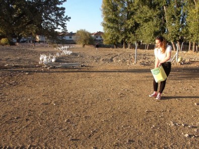 Bu Da Gerçek Kaz Bank