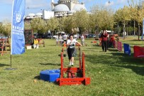 İL MİLLİ EĞİTİM MÜDÜRLÜĞÜ - Bursa'da Macera Başladı