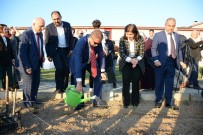 FEN EDEBİYAT FAKÜLTESİ - Huzurevi Bahçesine Tıbbi Ve Aromatik Bitki Dikildi