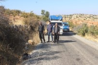 Kurt Dehşetinden Kaçan Koyunlardan 155'İ Bulundu