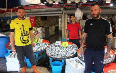 (Özel) Karadeniz Hamsisi Marmara'yı Hatırladı