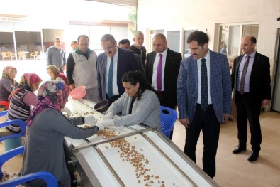 Salihli Ceviz Ve Badem Diyarı Olma Yolunda İlerliyor