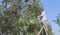 İNSANI YARDıM VAKFı - Bursalı Çiftçilerden Mülteci Kamplarına TIR Dolusu Meyve