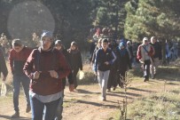 KÜLTÜR VE SOSYAL HİZMETLER MÜDÜRLÜĞÜ - Dursunbey'de Doğa Yürüyüşlerine Yoğun İlgi