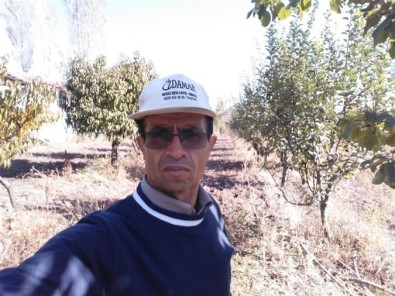 Erik Ağaçları Kasım Ayında Çiçek Açtı