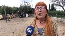 KADIN GİRİŞİMCİ - İnternetten Satın Aldıkları Eşeklerle Çiftlik Kurdular