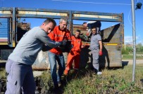 İşte Trakya'nın Fidan Fabrikası