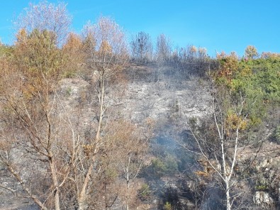 Kütahya Emet'te Orman Yangını