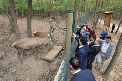 Kuzey Makedonyalı Belediye Başkanları Kocaeli'ye Hayran Kaldı