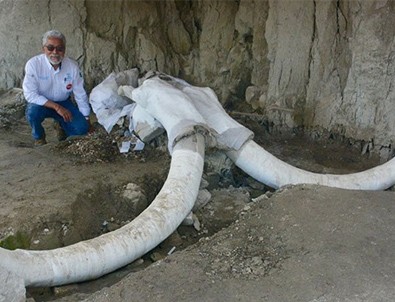 15 bin yıllık mamut tuzakları bulundu