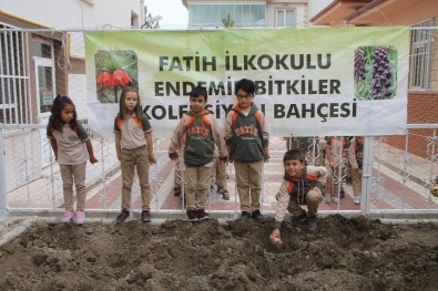 Minikler Endemik Bitki 'Ters Lale'yi Yetiştirmek İçin Kolları Sıvadı