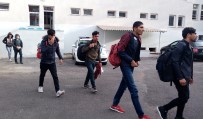 MİNİBÜS ŞOFÖRÜ - Panelvan Kamyonetten 30 Kaçak Göçmen Çıktı