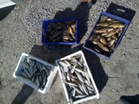 Suğla Gölü'nde Boy Limiti Altında Yavru Levrek Avına Ceza