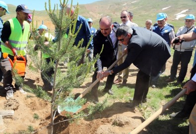 Vali Günaydın'dan Fidan Dikimine Davet