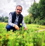 ORMAN YANGıNLARı - Akil Gençler'den Fidan Dikme Çağrısı