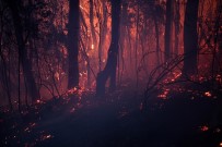 QUEENSLAND - Avustralya'da Korkutan Orman Yangınları