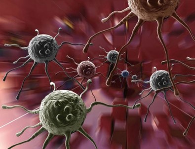 Bilim insanları HIV virüsü saptadı