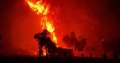 Çanakkale'de 2019 Yılında 52 Orman Yangını Çıktı