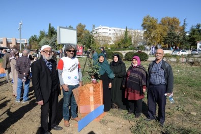 Organları Bağışçıları Ve Organ Nakli Olanlar Birlikte Fidan Dikti