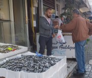 HAMSİ BALIĞI - (Özel) Hamsi Fiyatı Karadeniz'de 7 TL'ye Düştü
