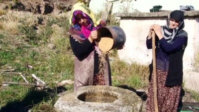 Sakarya'da Buğday Dövme Geleneği Yaşatılıyor
