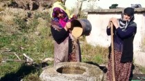 Sakarya'da Buğday Dövme Geleneği Yaşatılıyor Haberi