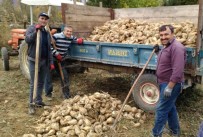 FABRIKA - Simav'da Şeker Pancarı Üretimi Durma Noktasına Geldi