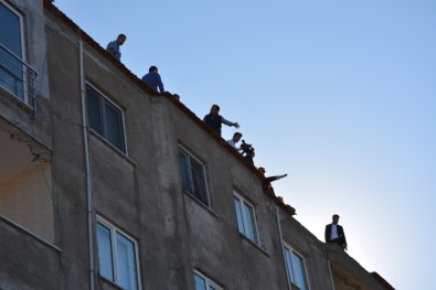 TBMM Araştırma Komisyonu Üyeleri Rabia Naz Vatan'ın Şüpheli Ölümünü Araştırmak İçin Giresun'a Geldi