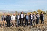 19 MAYIS ÜNİVERSİTESİ - 'Tosya Pirinci'nin Coğrafi İşaret Denetimleri Başladı
