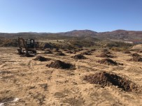 ORMAN İŞLETME MÜDÜRÜ - Bingöl'de 65 Bin Fidan Toprakla Buluşacak