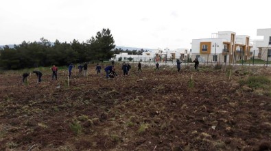 DHMİ, Türkiye'deki Havalimanlarına 100 Bin Fidan Dikecek