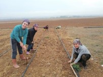 Eskişehir'de Kadın Çiftçiler İçin 'Lavanta' Alternatif Ürün