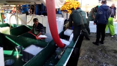 Kastamonu'da Karadeniz'e Açılan Balıkçılar Tonlarca Hamsiyle Döndü