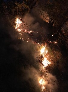 Kocaeli'de Ormanlık Alanda Yangın