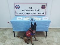 KOKAIN - Laptop Çantasında 1 Milyon 250 Bin Liralık Kokain Ele Geçirildi