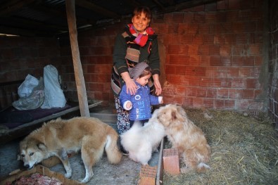 40 Yıllık Hayvan Sevgisini Evinin Bahçesine Taşıdı