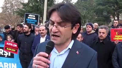 Amasya'da Doğu Türkistan Protestosu