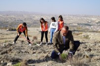 VAKIF ÜNİVERSİTELERİ - Greenmetric'te Kapadokya Üniversitesi Büyük Başarı Elde Etti