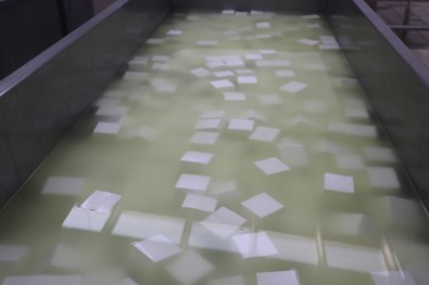 Yurt Dışında Pişen Pizzalara, Sivas'ta Üretilen Peynir Lezzet Katıyor