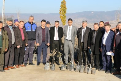 Demirci'de Üreticilere Ceviz Desteği