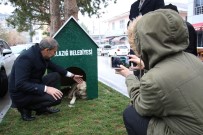 Elazığ'da 'Köpek Dostu İlçe' Kış Nedeniyle Kulübelerle Donatıldı Haberi