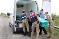 KARAAĞAÇ - Kesik Başlı Ceset Kayıp Balıkçıya Ait Çıktı