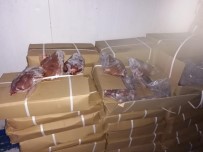 3 ARALıK - Mersin'e Çin'den getirilen kaçak 23 ton kuzu ciğeri yakalandı