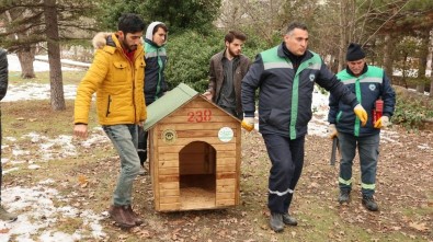 Odunpazarı Belediyesi 'Sokaktaki Dostlar' İçin Kulübe Yaptı