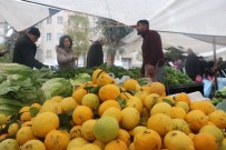 MUSTAFA KıLıÇ - Soğuk Havada Limona Olan Talep İkiye Katlandı